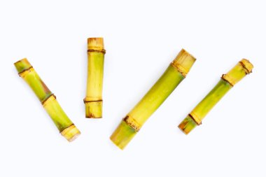 Beyaz arka planda şeker kamışı. Boşluğu kopyala