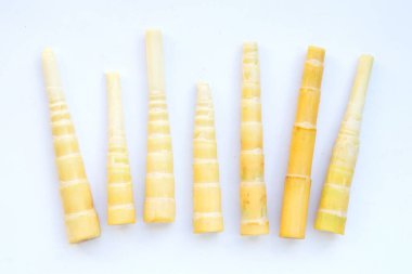 Beyaz arkaplanda bambu filizleri.