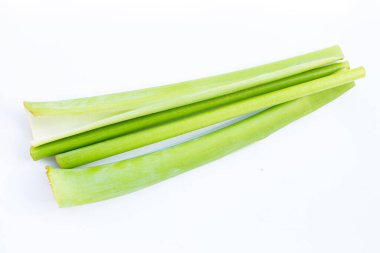 Beyaz arkaplanda Colocasia dev çayı.