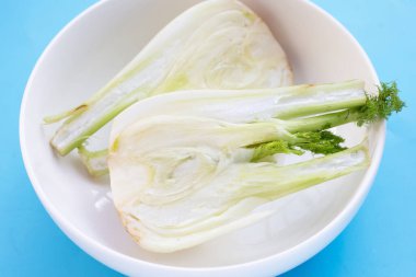 Fresh fennel bulb on blue background