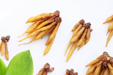 Beyaz arkaplanda parmak kökü.