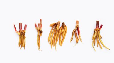 Beyaz arkaplanda dilimlenmiş parmak kökü.