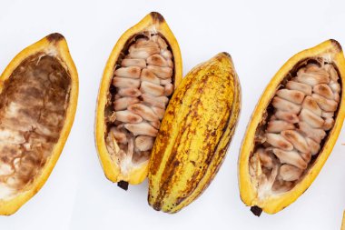 Beyaz arka planda izole edilmiş kakao meyvesi