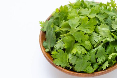 Beyaz arkaplanda taze kişniş yaprakları.