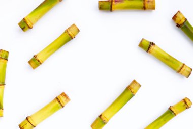 Beyaz arka planda şeker kamışı. Boşluğu kopyala