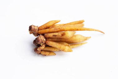 Beyaz arkaplanda parmak kökü.