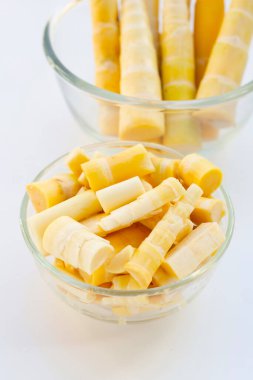 Beyaz arkaplanda bambu filizleri.