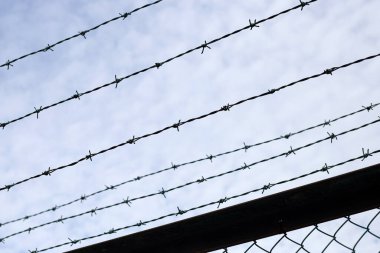 Barbed wires against blue sky. Wired fence