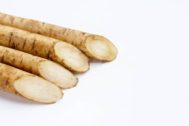 Beyaz arkaplanda Burdock Kökü (Gobo).