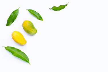 Tropik meyve, beyaz arka planda mango. Üst görünüm