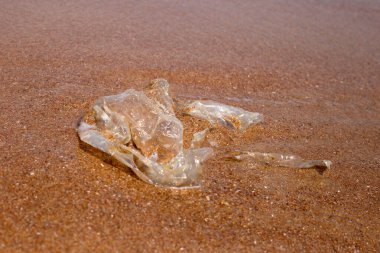Plastic bag pollution on the beach