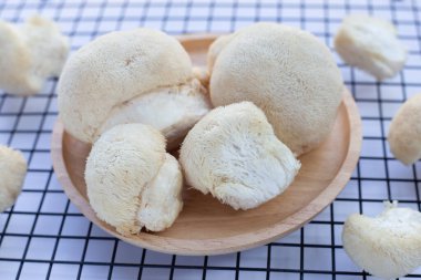Fresh lion's mane mushroom on white background.