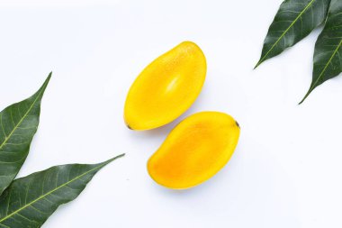 Tropik meyve, beyaz arka planda mango. Üst görünüm