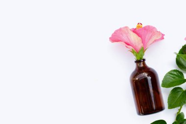 Hibiscus çiçek beyaz arka plan üzerinde.