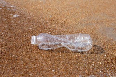 Plastik şişe sahilde