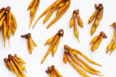 Beyaz arkaplanda parmak kökü.