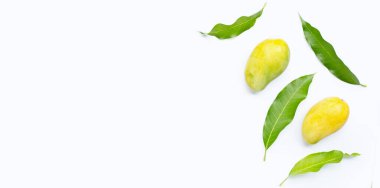 Beyaz arkaplanda yeşil yapraklı mango.