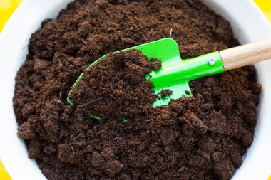 Peat moss for planting, plant growth