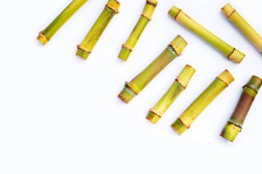 Beyaz zemin üzerine şeker kamışı.