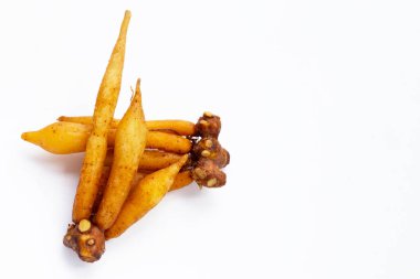 Beyaz arkaplanda parmak kökü.