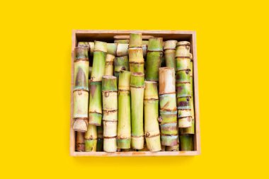 Sarı zemin üzerinde şeker kamışı.