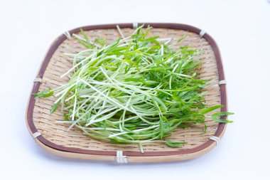 Water spinach sprouts. Organic vegetables