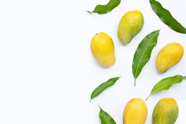 Beyaz arkaplanda yeşil yapraklı mango.