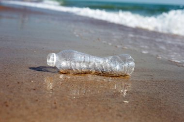 Plastik şişe sahilde