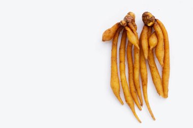 Beyaz arkaplanda parmak kökü.