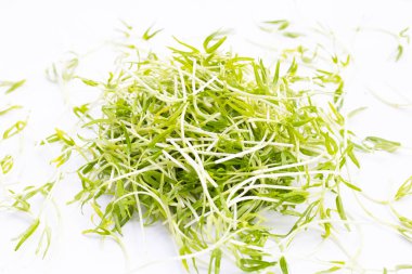 Water spinach sprouts. Organic vegetables