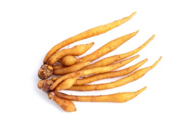 Beyaz arkaplanda parmak kökü.