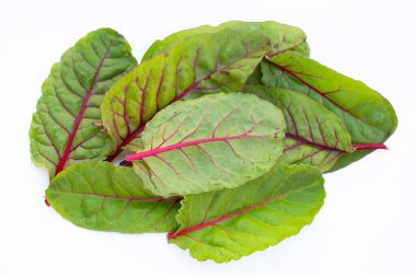 Taze İsviçre pazı yaprakları. Bebek yaprağı İsviçre pazarı