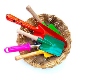 Garden shovel with fork in bamboo basket on white background. Garden tools