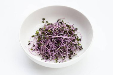 Beyaz arka planda organik kırmızı lahana filizleri.