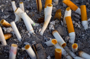 Cigarettes and ash on dirty sand in trash tray