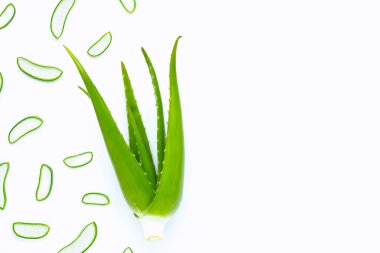Aloe Vera Beyaz Arkaplanda.