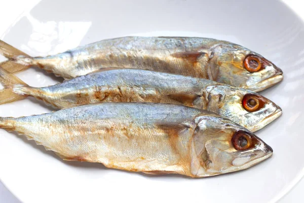 Salted fish on white background.
