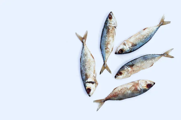 Peixe Salgado Sobre Fundo Branco — Fotografia de Stock