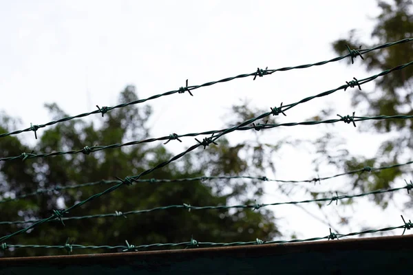 Barbed Wires Sky Wired Fence — Fotografia de Stock