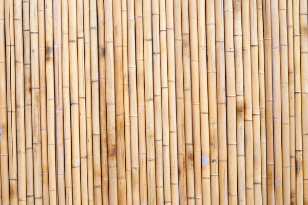 Yellow Bamboo Texture Dried Bamboo Wall Fence Background — Stock Photo, Image