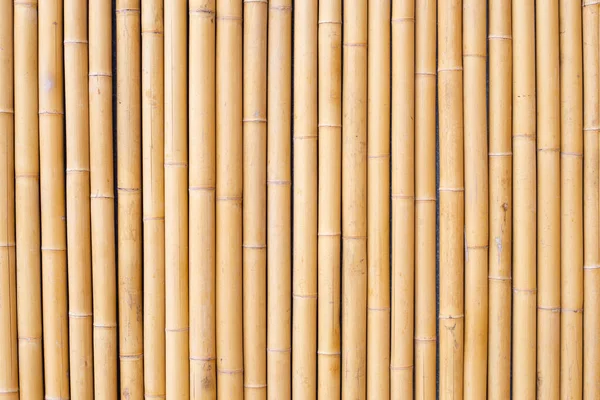 Texture Bambù Giallo Muro Bambù Essiccato Sfondo Recinzione — Foto Stock