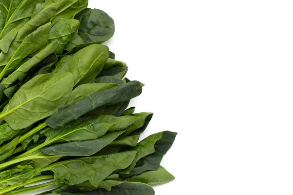 Fresh Spinach White Background — Stock Photo, Image