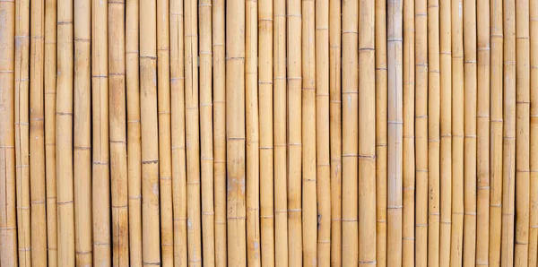 Textura Bambú Amarillo Fondo Pared Valla Bambú Seco — Foto de Stock
