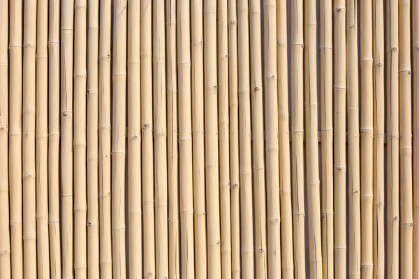 Textura Bambu Amarelo Parede Bambu Seco Fundo Cerca — Fotografia de Stock