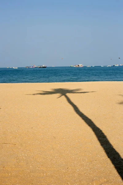 Schatten Der Kokospalme Strand — Stockfoto