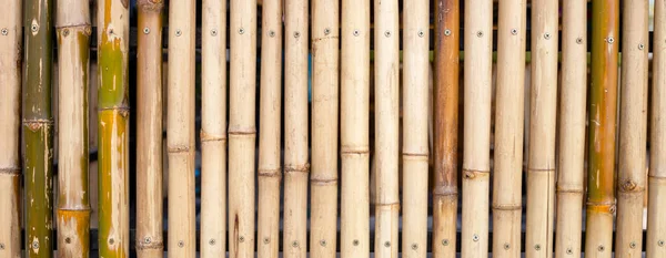 黄色の竹の質感 乾いた竹の壁や柵の背景 — ストック写真