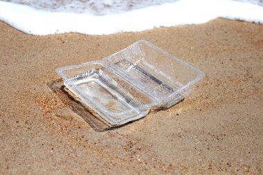 Plastic food container on the beach