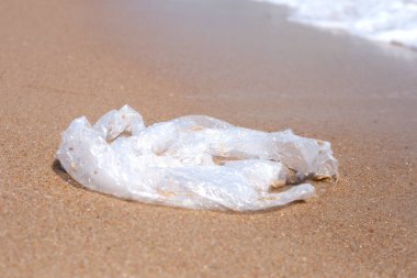 Plastic bag pollution on the beach