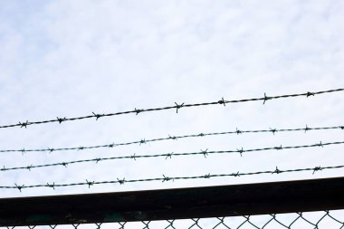 Barbed wires against sky. Wired fence