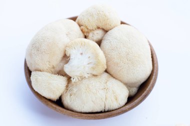 Fresh lion's mane mushroom on white background.
